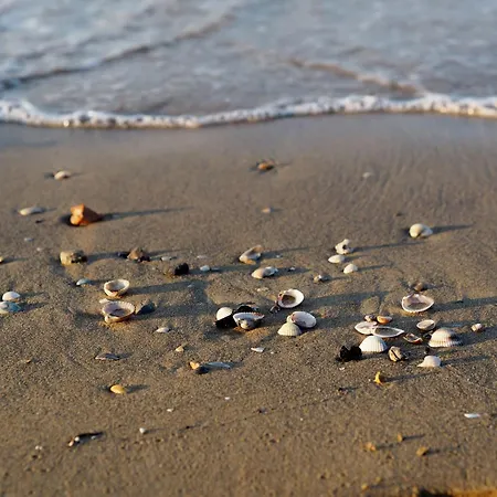 Apartman Beachfront With A Big Terrace Bibione