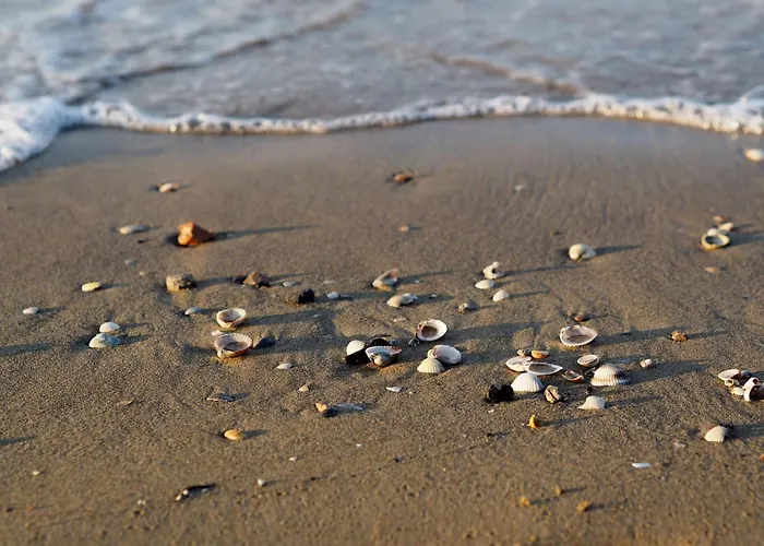 Apartment Beachfront With A Big Terrace Bibione